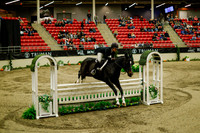 2025 - Haylee - Royal West - Saturday October 18th - 08710
