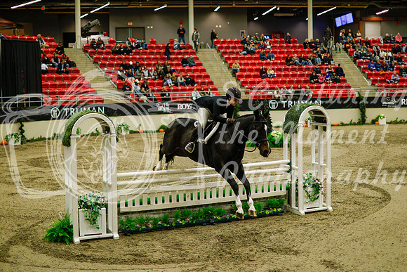 2025 - Haylee - Royal West - Saturday October 18th - 08710