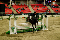 2025 - Haylee - Royal West - Saturday October 18th - 09052