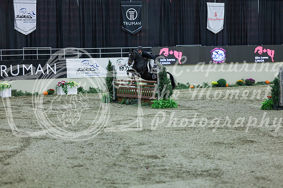2025 - Shea - Royal West - Saturday October 18th - 06730