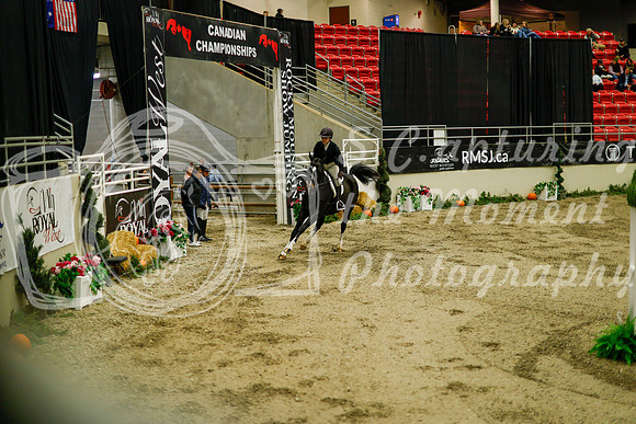 2025 - Haylee - Royal West - Saturday October 18th - 08715