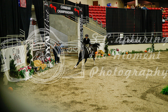 2025 - Haylee - Royal West - Saturday October 18th - 08716