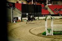2025 - Haylee - Royal West - Saturday October 18th - 09056