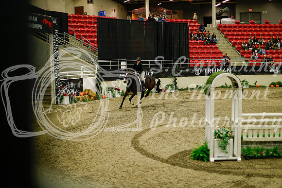 2025 - Haylee - Royal West - Saturday October 18th - 09056