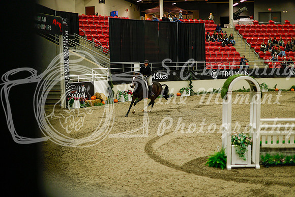 2025 - Haylee - Royal West - Saturday October 18th - 09057