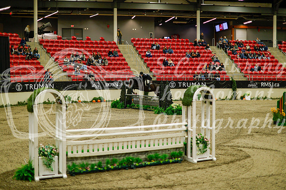 2025 - Haylee - Royal West - Saturday October 18th - 09054
