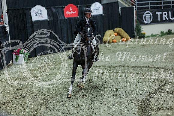 2025 - Shea - Royal West - Saturday October 18th - 06735