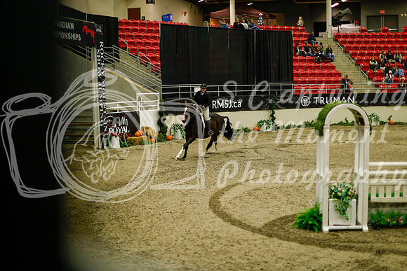 2025 - Haylee - Royal West - Saturday October 18th - 09058