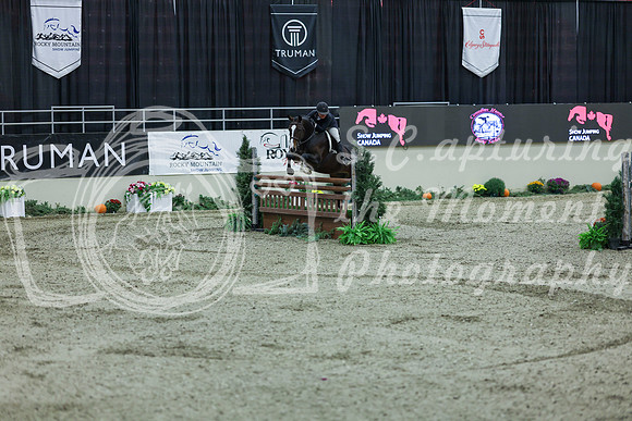 2025 - Shea - Royal West - Saturday October 18th - 07711