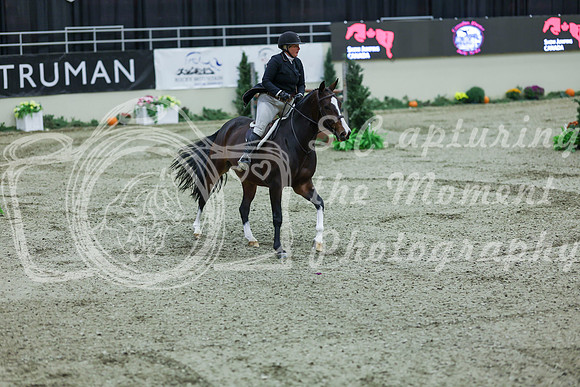 2025 - Shea - Royal West - Saturday October 18th - 07717