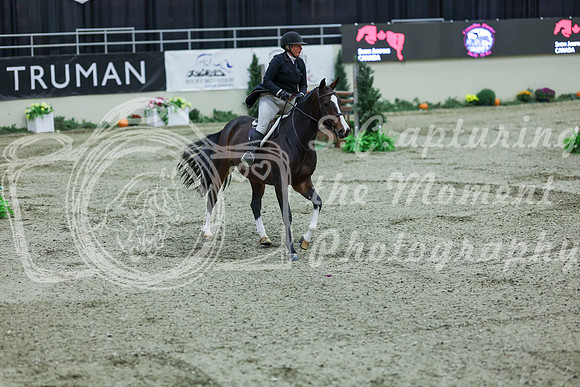 2025 - Shea - Royal West - Saturday October 18th - 07716
