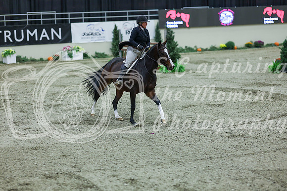 2025 - Shea - Royal West - Saturday October 18th - 07718