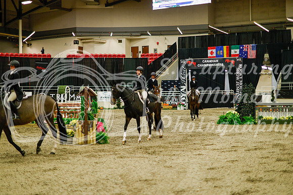 2025 - Haylee - Royal West - Saturday October 18th - 09234