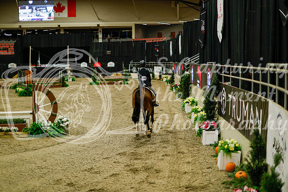 2025 - Haylee - Royal West - Saturday October 18th - 08265