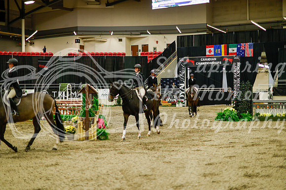 2025 - Haylee - Royal West - Saturday October 18th - 09235