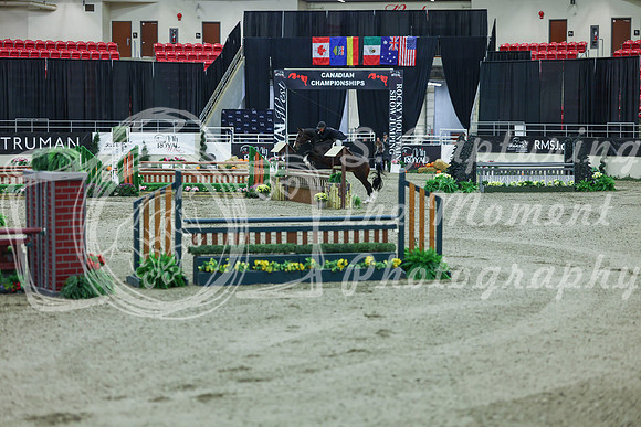2025 - Shea - Royal West - Saturday October 18th - 07724