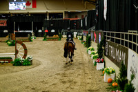 2025 - Haylee - Royal West - Saturday October 18th - 08266