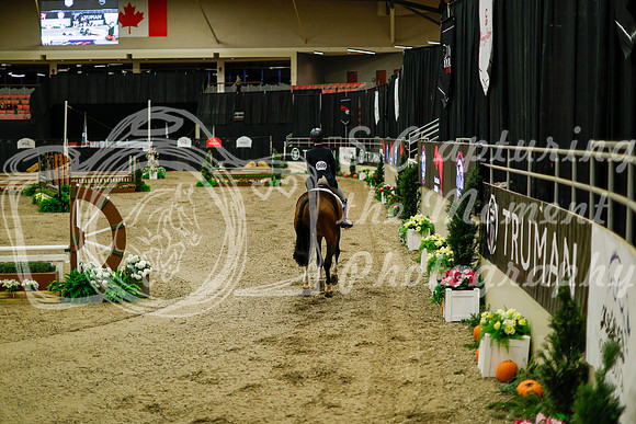 2025 - Haylee - Royal West - Saturday October 18th - 08266