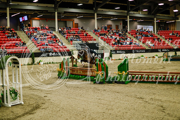 2025 - Haylee - Royal West - Saturday October 18th - 08267