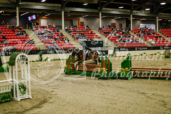 2025 - Haylee - Royal West - Saturday October 18th - 08269