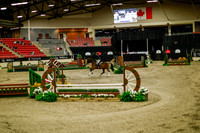 2025 - Haylee - Royal West - Saturday October 18th - 08273