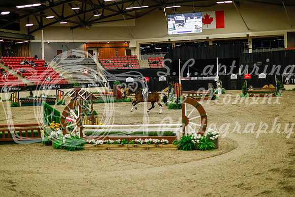 2025 - Haylee - Royal West - Saturday October 18th - 08273