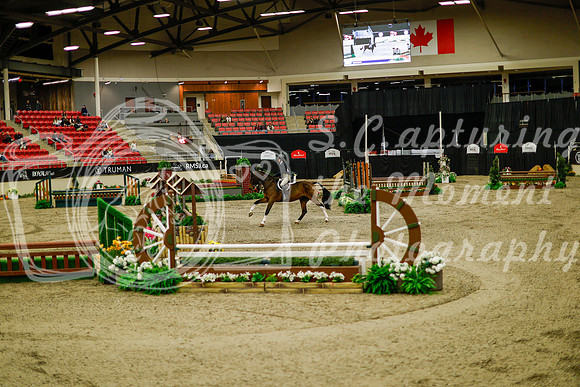 2025 - Haylee - Royal West - Saturday October 18th - 08274