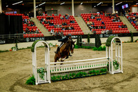 2025 - Haylee - Royal West - Saturday October 18th - 08275