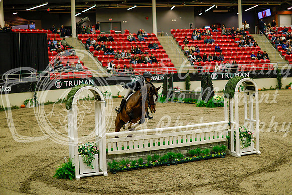 2025 - Haylee - Royal West - Saturday October 18th - 08275