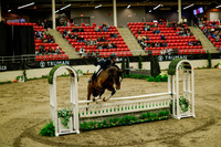 2025 - Haylee - Royal West - Saturday October 18th - 08276