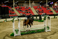2025 - Haylee - Royal West - Saturday October 18th - 08277