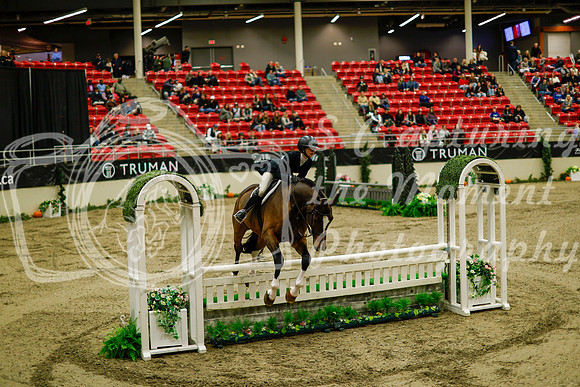 2025 - Haylee - Royal West - Saturday October 18th - 08277