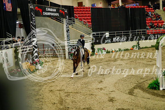 2025 - Haylee - Royal West - Saturday October 18th - 08281