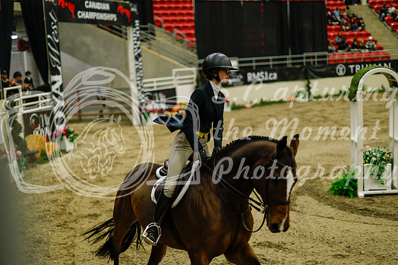 2025 - Haylee - Royal West - Saturday October 18th - 08283