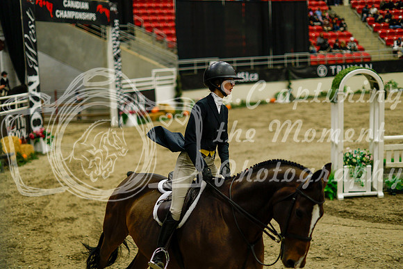 2025 - Haylee - Royal West - Saturday October 18th - 08284