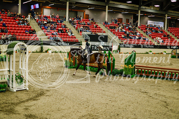 2025 - Haylee - Royal West - Saturday October 18th - 08287