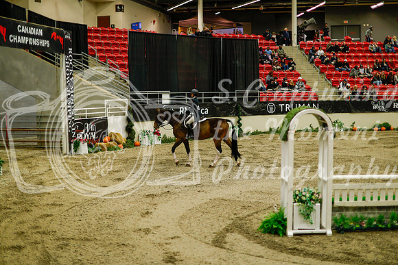 2025 - Haylee - Royal West - Saturday October 18th - 08289