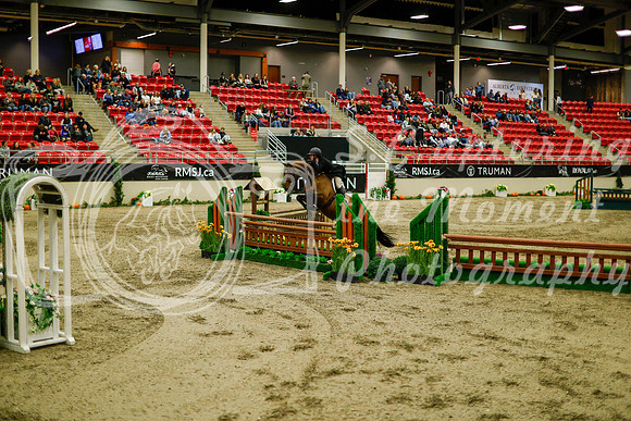 2025 - Haylee - Royal West - Saturday October 18th - 08759