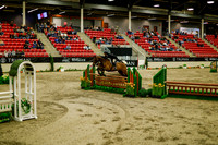 2025 - Haylee - Royal West - Saturday October 18th - 08761