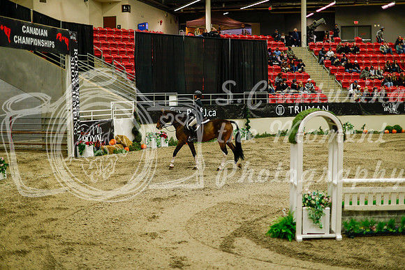 2025 - Haylee - Royal West - Saturday October 18th - 08290