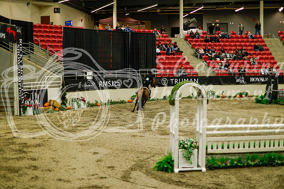 2025 - Haylee - Royal West - Saturday October 18th - 08763