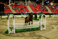 2025 - Haylee - Royal West - Saturday October 18th - 08766