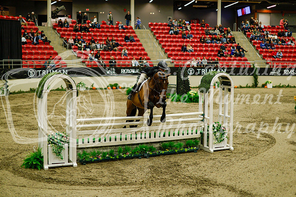 2025 - Haylee - Royal West - Saturday October 18th - 08766