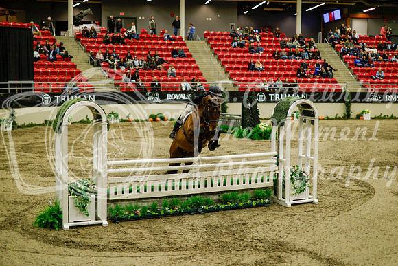 2025 - Haylee - Royal West - Saturday October 18th - 08765