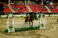 2025 - Haylee - Royal West - Saturday October 18th - 08767