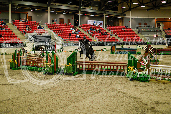 2025 - Haylee - Royal West - Saturday October 18th - 09062