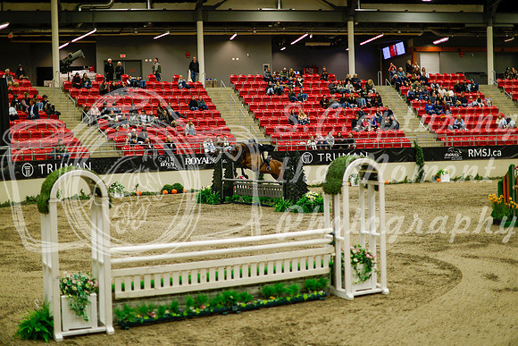 2025 - Haylee - Royal West - Saturday October 18th - 08770