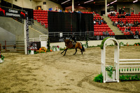 2025 - Haylee - Royal West - Saturday October 18th - 08772