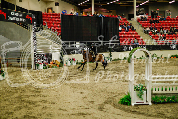 2025 - Haylee - Royal West - Saturday October 18th - 08772