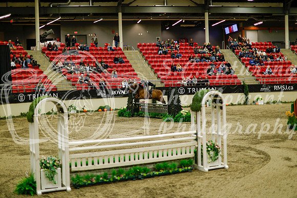 2025 - Haylee - Royal West - Saturday October 18th - 08771